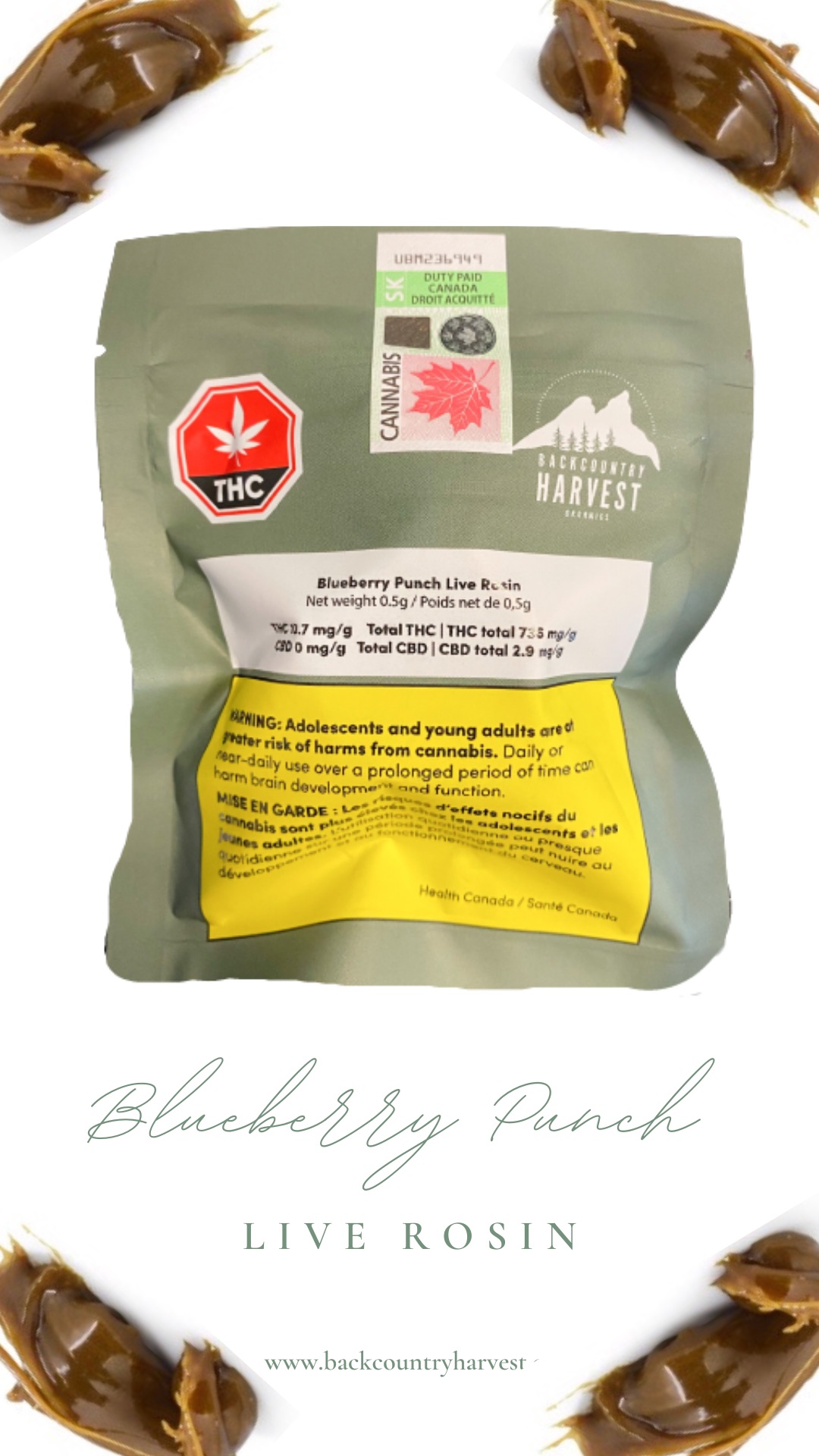 Blueberry Punch Live Rosin